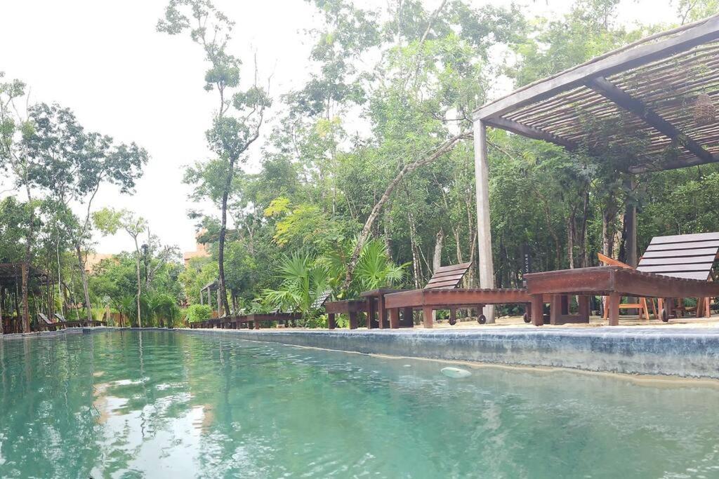 Paz Tranquilidad Y Comodidad Pet Friendly Apartment *